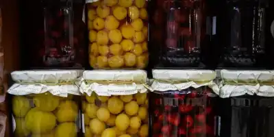 Kiszone warzywa: Skarbnica zdrowia i probiotyków dla Twojego organizmu (botwinka i kalafior)