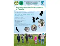 Bezpłatna wycieczka ornitologiczna nad Narew w niedzielę 8 maja!