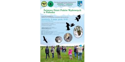 Bezpłatna wycieczka ornitologiczna nad Narew w niedzielę 8 maja!