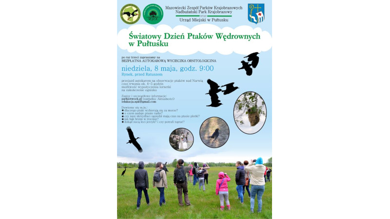 Bezpłatna wycieczka ornitologiczna nad Narew w niedzielę 8 maja!
