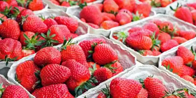 Czerwcowe przysmaki - jakie owoce i warzywa warto jeść w czerwcu