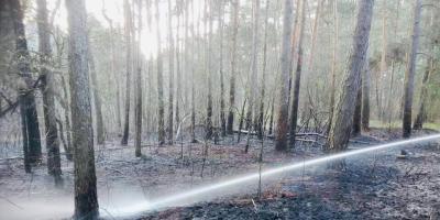 Płoną lasy w powiecie pułtuskim - Pułtuska Kronika Strażacka