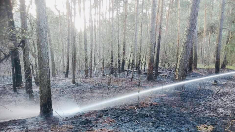 Płoną lasy w powiecie pułtuskim - Pułtuska Kronika Strażacka