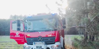 Płoną trawy i lasy. 16 zdarzeń w powiecie pułtuskim - Pułtuska Kronika Strażacka