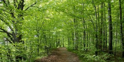 Strażacy wezwani do koziołka... - podsumowanie tygodnia