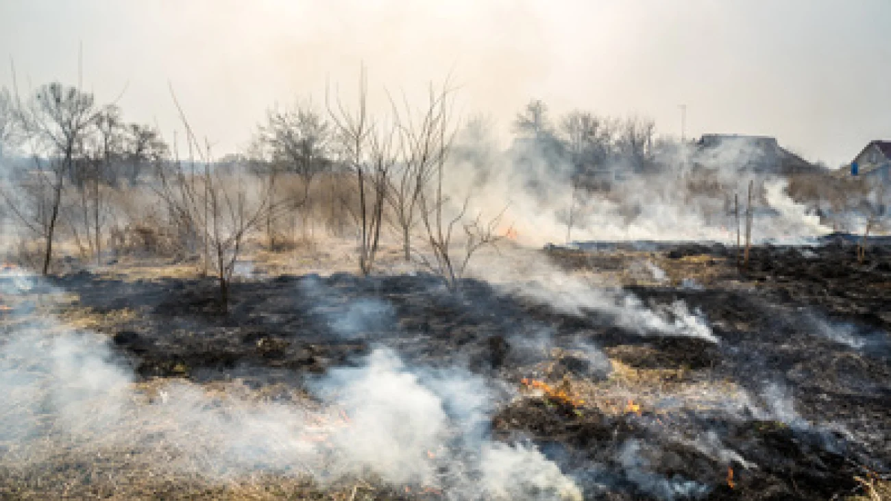 Pułtuska Kronika Strażacka 30.03.2020 r. – 05.04.2020 r.