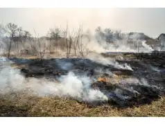 Pułtuska Kronika Strażacka 20 - 26.04.2020 r.