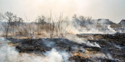 Pułtuska Kronika Strażacka 30.03.2020 r. – 05.04.2020 r.