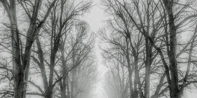 Bezpieczne święta na drogach powiatu pułtuskiego