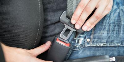 Pasy - kolejna akcja pułtuskiej policji