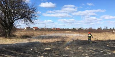 Pożary traw, mieszkań i wypadki - Straż podsumowała zeszły tydzień na terenie powiatu pułtuskiego