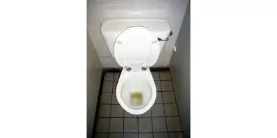 Śmierdzący temat