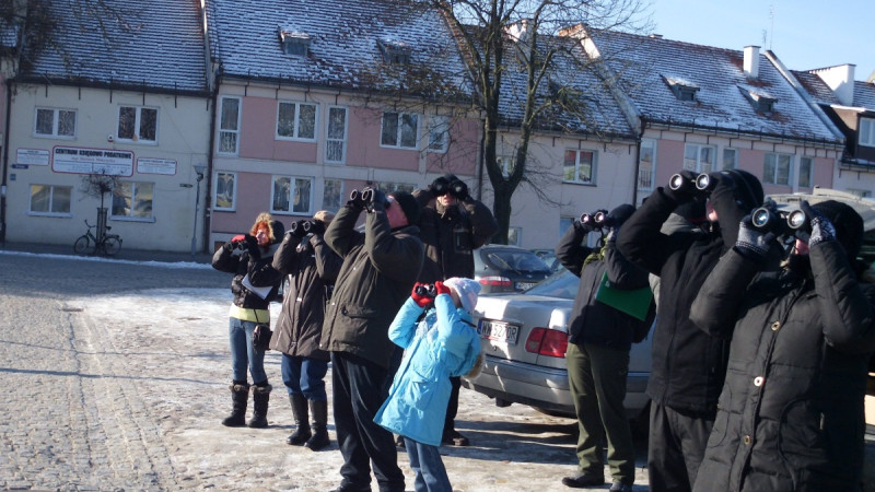 Zimowe Ptakoliczenie 2018 w Pułtusku już dzś!