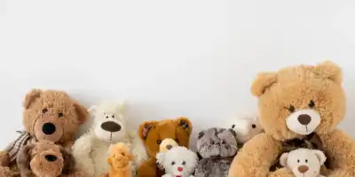 Świętuj z pluszakami. 28 października to Dzień Miłośników Pluszaków!