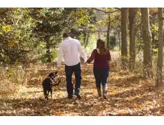 Wychodząc na spacer. Korzyści spacerów jesienią dla zdrowia.