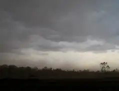 Kronika strażacka 24 - 30.01.2022 