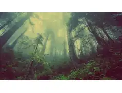 Tajemnicze zaginięcie w Pułtusku Czy po 3 latach nastąpi przełom?