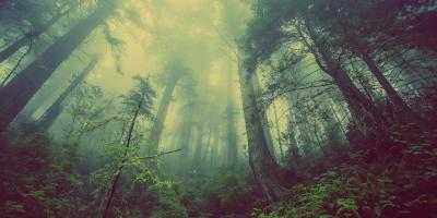 Tajemnicze zaginięcie w Pułtusku Czy po 3 latach nastąpi przełom?