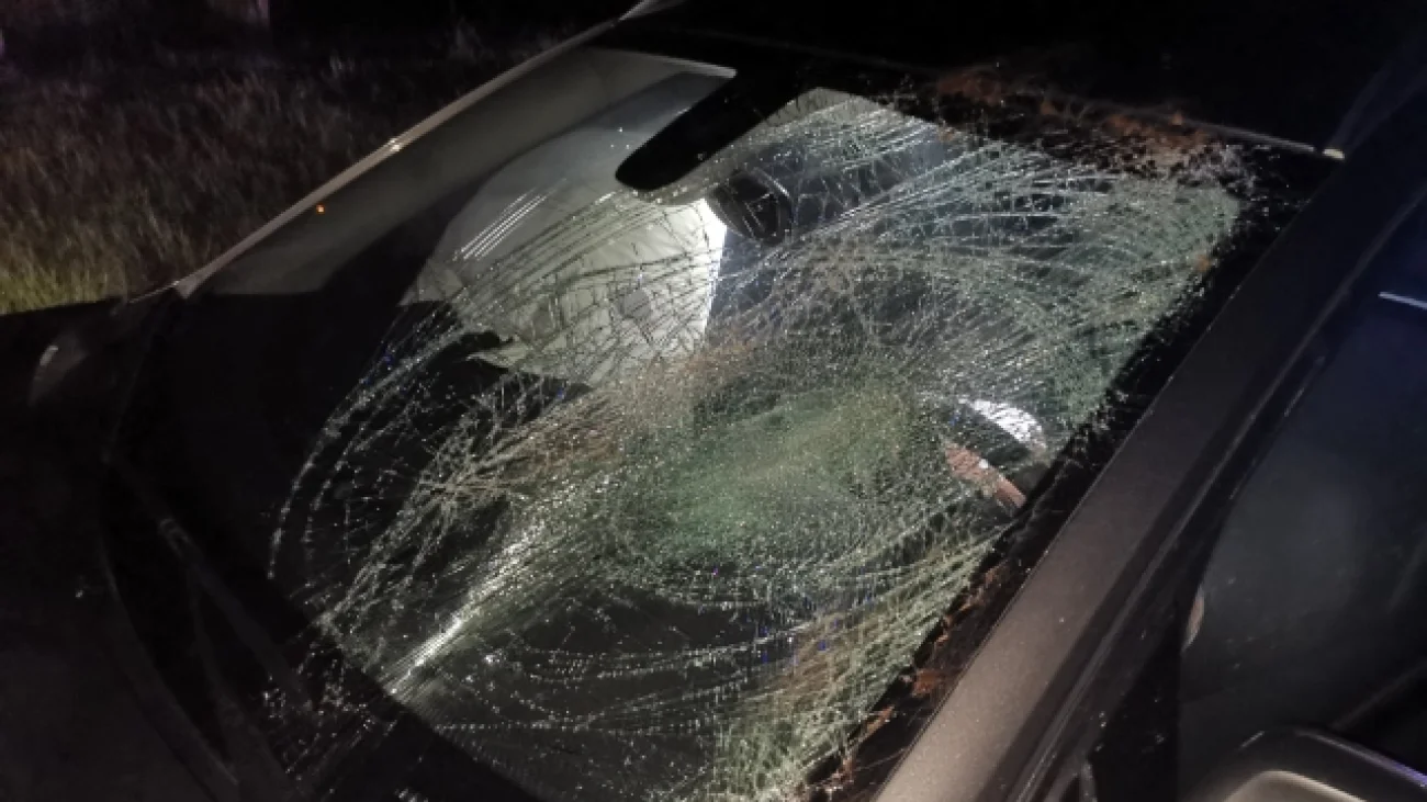 Interwencje strażaków w powiecie pułtuskim. Sześć zdarzeń w ciągu tygodnia