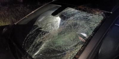 Interwencje strażaków w powiecie pułtuskim. Sześć zdarzeń w ciągu tygodnia