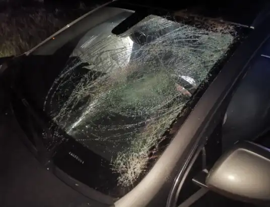 Interwencje strażaków w powiecie pułtuskim. Sześć zdarzeń w ciągu tygodnia