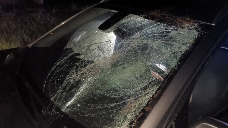 Interwencje strażaków w powiecie pułtuskim. Sześć zdarzeń w ciągu tygodnia