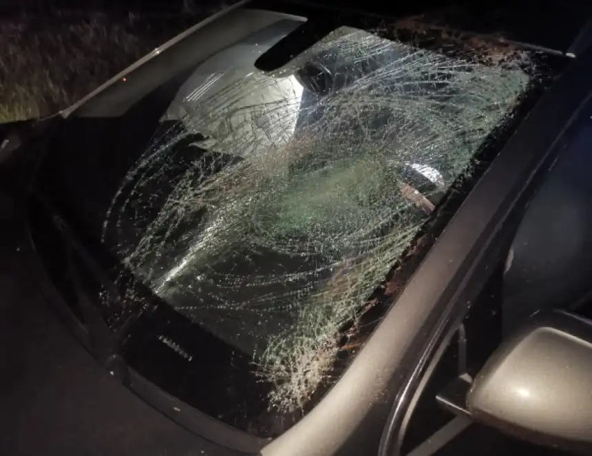 Interwencje strażaków w powiecie pułtuskim. Sześć zdarzeń w ciągu tygodnia