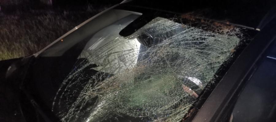 Interwencje strażaków w powiecie pułtuskim. Sześć zdarzeń w ciągu tygodnia