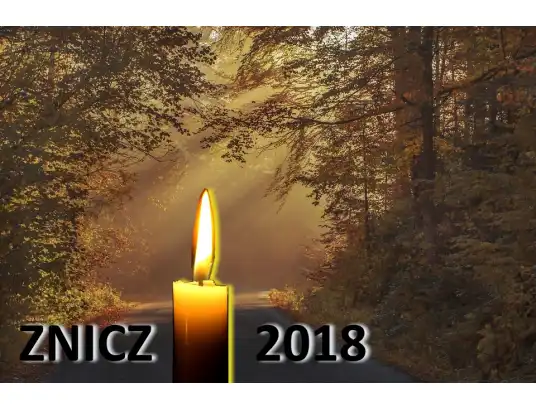 Policyjna Akcja ZNICZ 2018