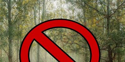 W Nadleśnictwie Pułtusk obowiązuje zakaz wstępu do lasu