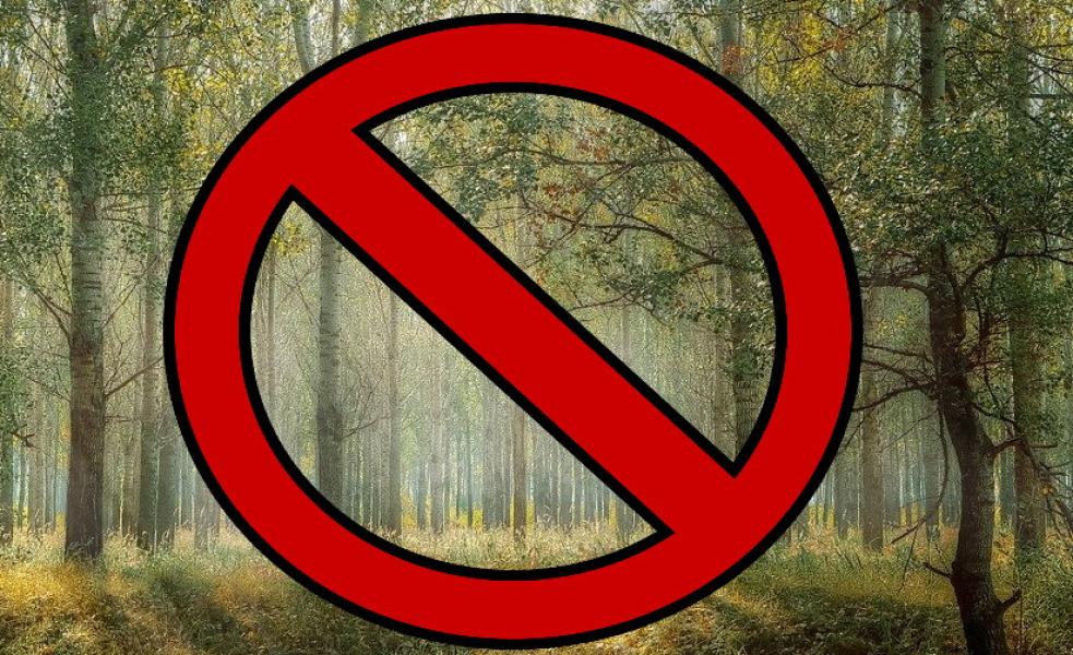 W Nadleśnictwie Pułtusk obowiązuje zakaz wstępu do lasu