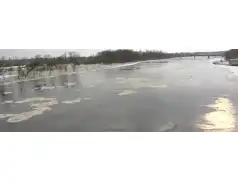 Poziom Narwi znowu wysoki