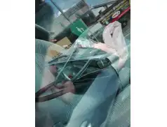 Kobieto, pamiętaj o torebce! - przestroga