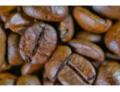 Kawowe ciasteczka - idealne dla miłośników kawy