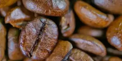 Kawowe ciasteczka - idealne dla miłośników kawy