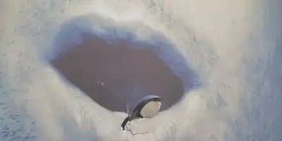 Domowe sposoby na afty