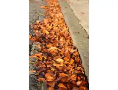 Zagrabimy Pułtusk cały