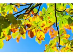 Magia kolorów. Jak kolory wpływają na nasze emocje i odczucia?