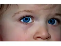 Bezwzględni oszuści. Został tylko smutek i pustka w skarbonce