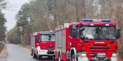 Spowodował kolizję i uciekł z miejsca zdarzenia. Uszkodzone auto zostawił w lesie [Zdjęcia]