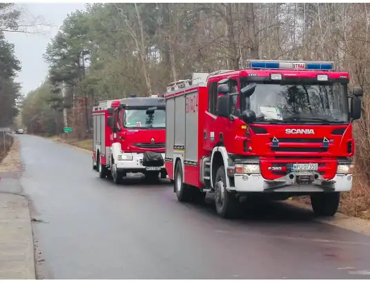 Spowodował kolizję i uciekł z miejsca zdarzenia. Uszkodzone auto zostawił w lesie [Zdjęcia]