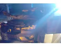 Leśne zwierzęta na drogach - dwa wypadki jednego dnia