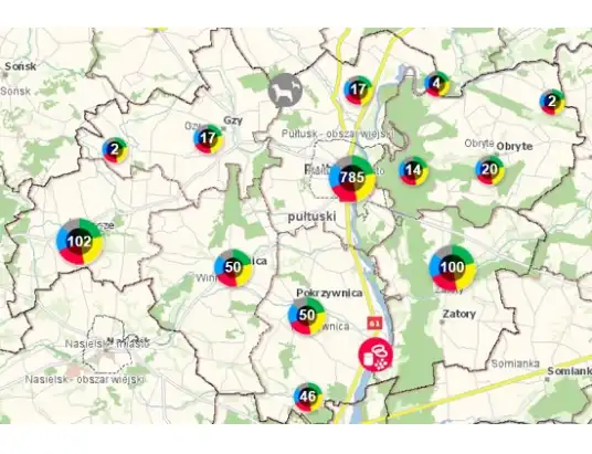 25 wykroczeń w jedną noc w Pułtusku