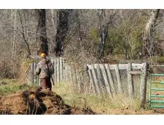 Uwaga POLOWANIE! - sprawdź kiedy nie chodzić do lasów w powiecie pułtuskim
