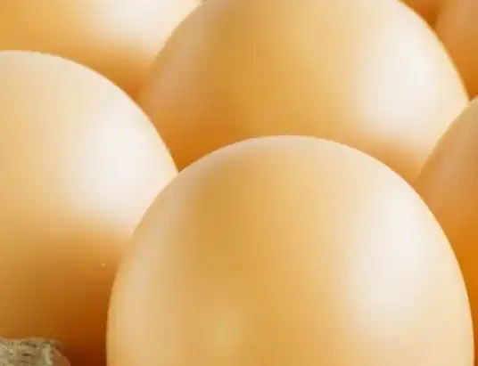 Pałeczki Salmonella Enteritidis na powierzchni skorupek jaj - GIS wydał ostrzeżenie dotyczące żywności