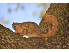Swędzi cię skóra? Wypróbuj tych domowych sposobów!
