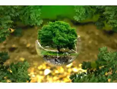 Zrównoważony dom. Jak wprowadzić ekologiczne praktyki do codziennego życia?