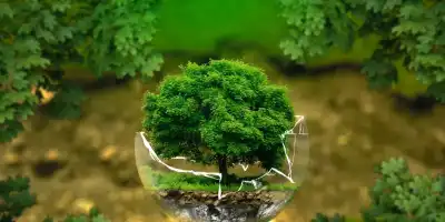 Zrównoważony dom. Jak wprowadzić ekologiczne praktyki do codziennego życia?