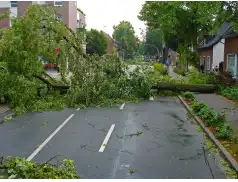 Pułtuska Kronika Strażacka 06 -12.07.2020 r.