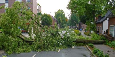 Pułtuska Kronika Strażacka 15 - 21.06.2020 r.